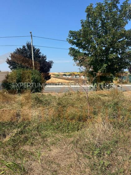 Teren intravilan de vânzare în Costinești – 417 mp, deschidere 20 ml - 14
