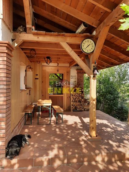 Teren intravilan 5550 mp de vânzare – Hudum - 5