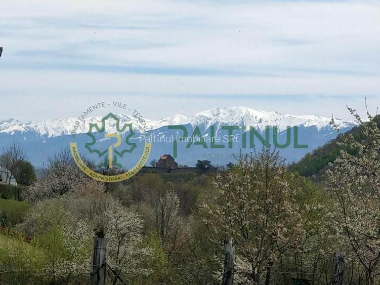 Teren intravilan de vanzare 960 mp Cisnadioara, Sibiu - 8
