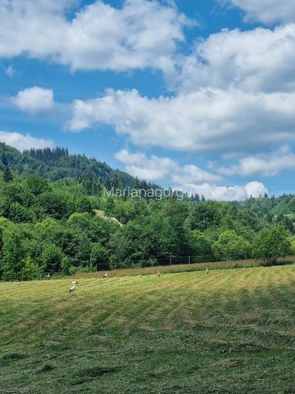 Casa de vânzare cu 4185mp teren,Câmpulung Moldovenesc, Bucovina - 11
