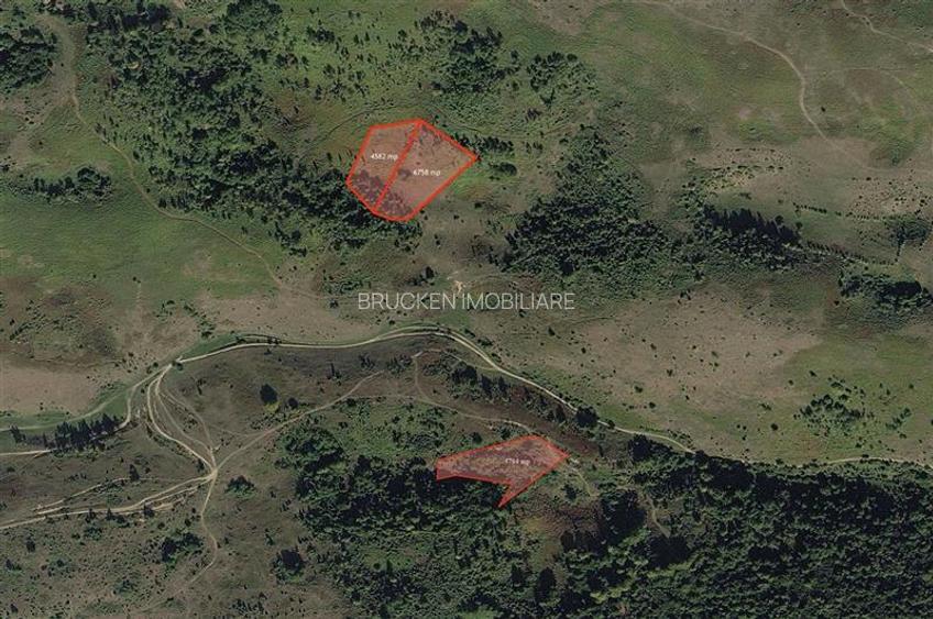 Portofoliu funciar de peste 10 hectare | Izbuc - Carpinet | Jud. Bihor - 6