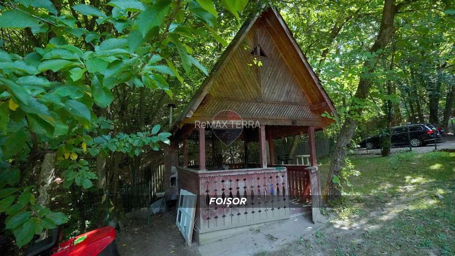 Sub padure, casa si teren de vanzare in Baia Mare - 40