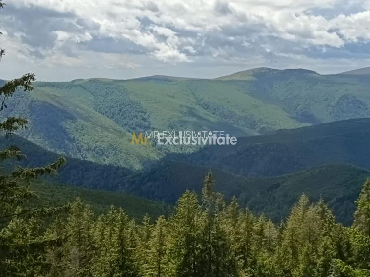 Cabană P+M de vânzare în Rânca - 27