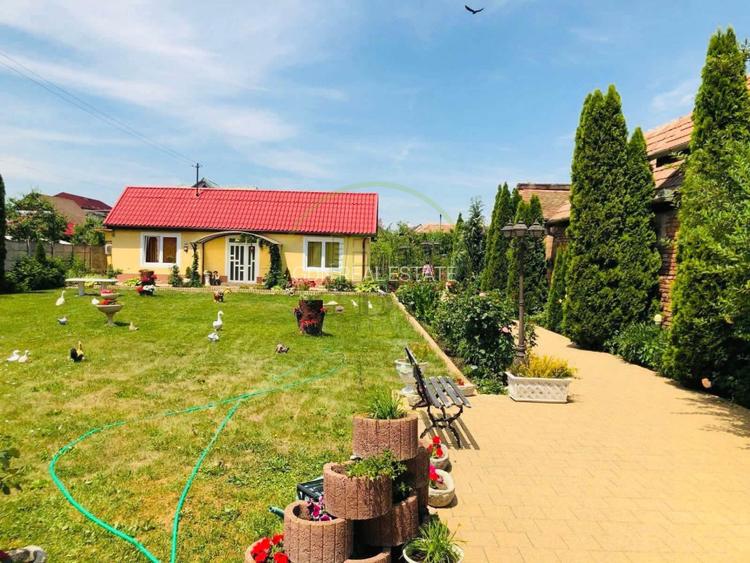 Casă de închiriat-Calea Poplăcii Rezidențial sau activități educaționale - 5