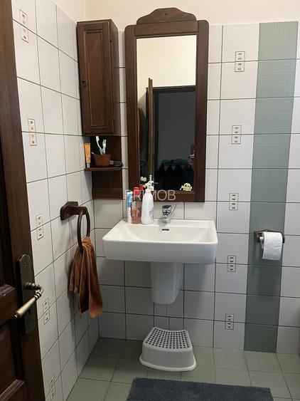 Mogosoaia,apr.lac,toate utilitatile,S+P+Em,individuala,rustica,cocheta,semineu - 22