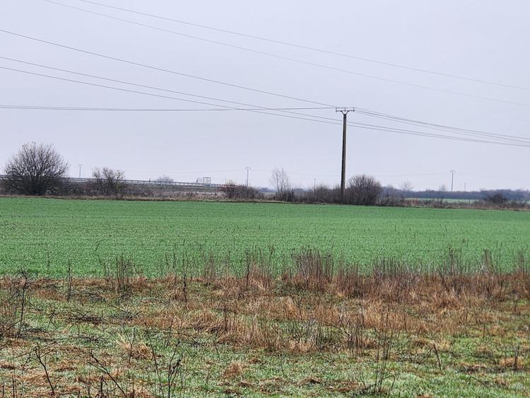 Vand teren agricol extravilan în Giroc