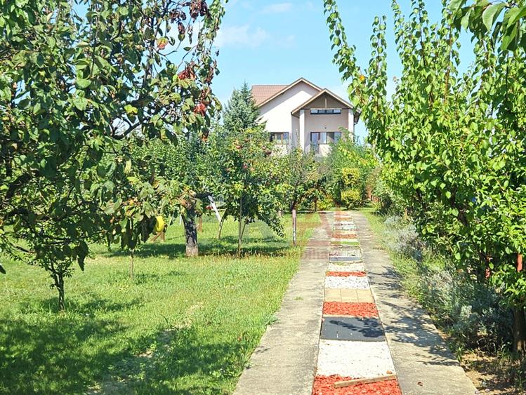 PROPRIETATE DEOSEBITĂ CU POTENȚIAL REZIDENȚIAL ȘI  BUSINESS – MOVILA, NICULEȘTI