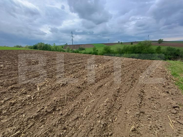 Teren de vanzare extravilan, 50 ari, Cumparatura - 2