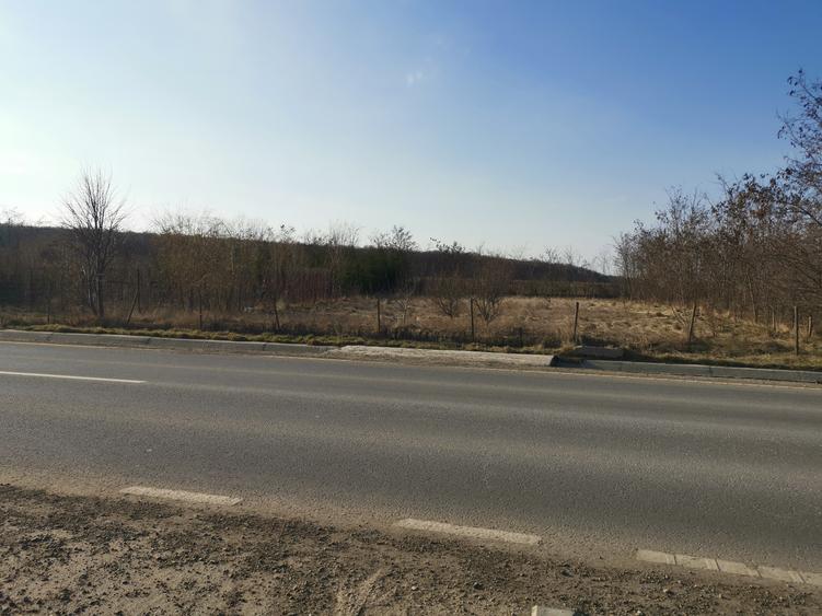 Teren la strada pretabil afaceri la Baisa