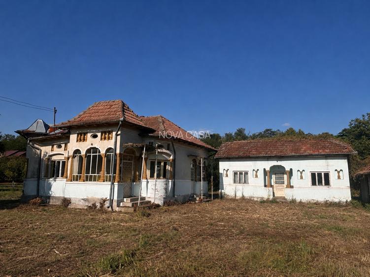 Proprietate cu 2.109 m² teren intravilan și două case, în Olanu - 4