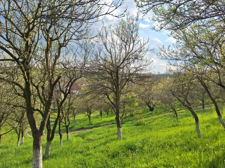Moșia cu casa în vârf de deal, Scorțeni - Prahova, comision 0%