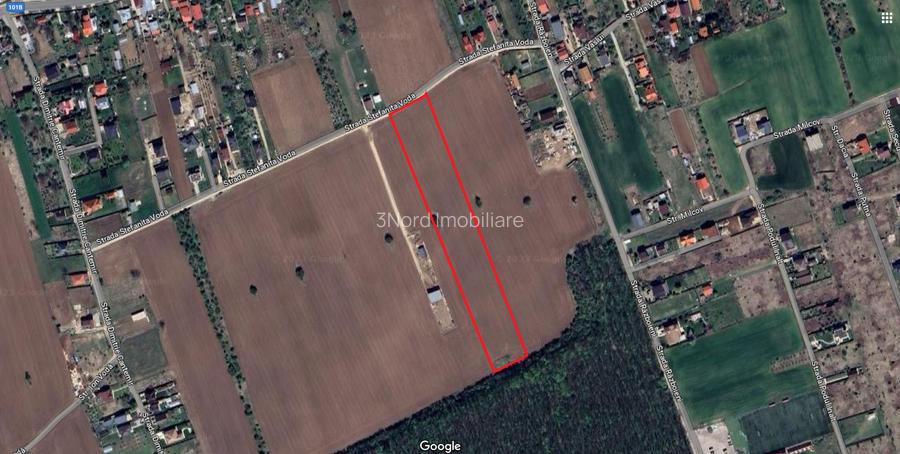 8.500 mp, cu deschidere la padure, dublă deschidere, Snagov –Ghermanesti - 3