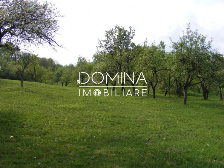 Închiriere loturi de teren în Comuna Runcu – sat Sănătești