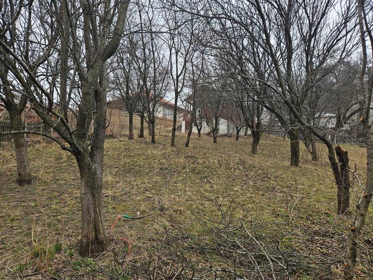PROPRIETAR-Vand pensiune, Comarnic