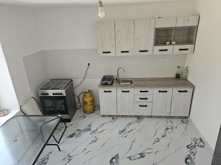 Casa Beregsaul mic+teren 1550 mp