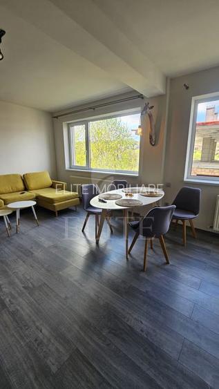 Apartament 2 camere în zona BORHANCI - 4