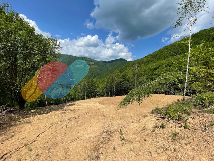 Teren 2200 mp, intravilan, zona Somesul Rece