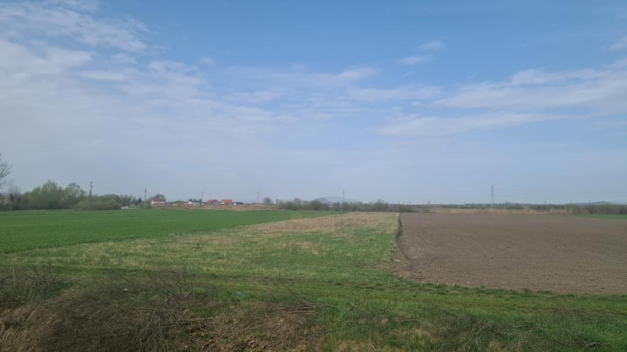 TEREN INTRAVILAN DE 2134 MP CU DRUM PROPRIU ÎN PREJMER – IDEAL PENTRU INVESTIȚIE