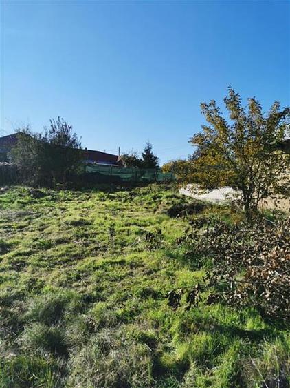 Teren de vanzare in Nifon Tulcea
