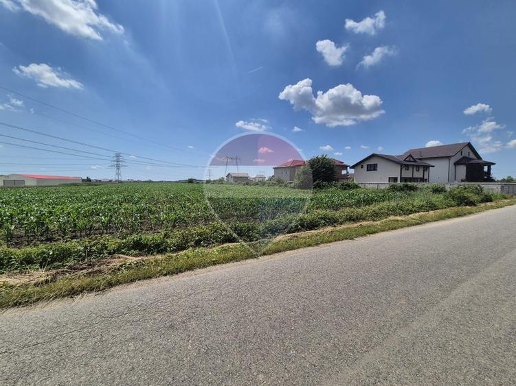 Teren intravilan de vânzare 4.087 mp Clinceni Olteni Ilfov