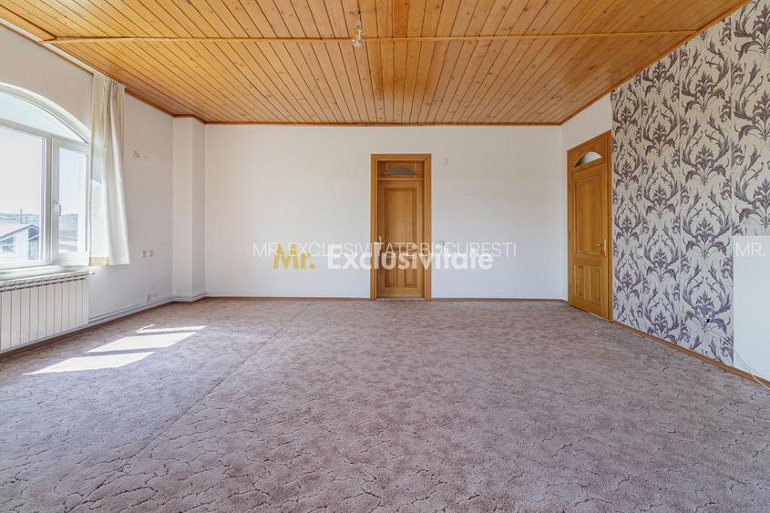 Domeniu privat 5.000 mp, cu reședință de 625 mp și piscină, Corbeanca - 33