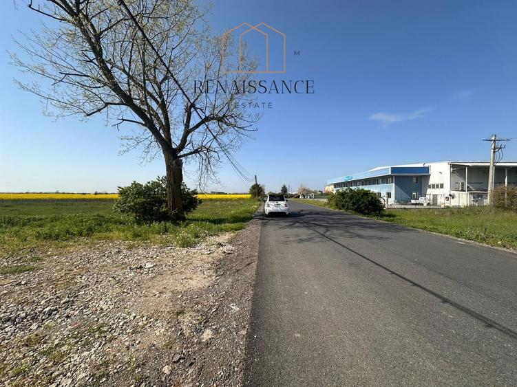Teren Intravilan Industrial 4982mp Front 24m | Zona Freidorf