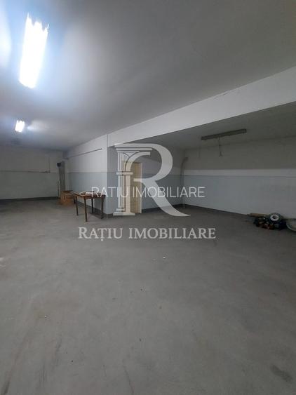 Hala Constructie Caramida | Ineu | Bihor