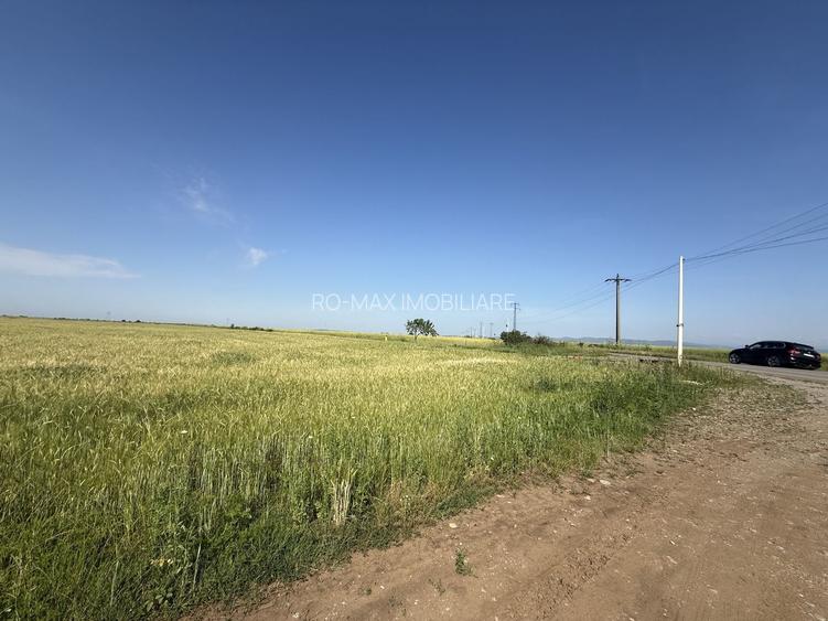 Teren 10 hectare pretabil pt panouri solare-Aricesti Rahtivani - 4