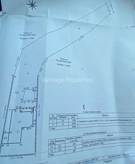 Vila 4 camere cu piscina si gradina, zona Snagov-langa padure - 17