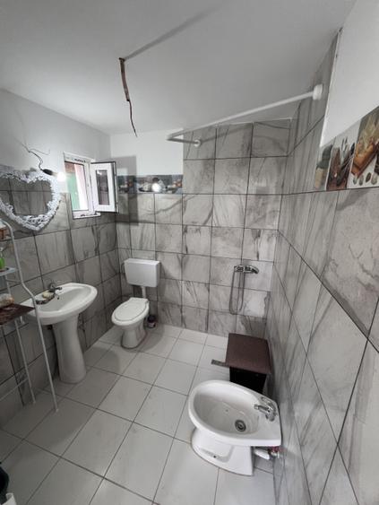 Casa de vacanta - Munteni Buzau - Jutetul Ialomita - Curte 2000mp
