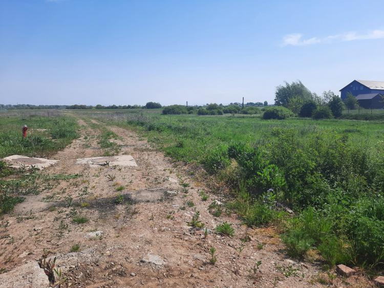 Teren intravilan la intrare în Vetiș – 12.216 mp