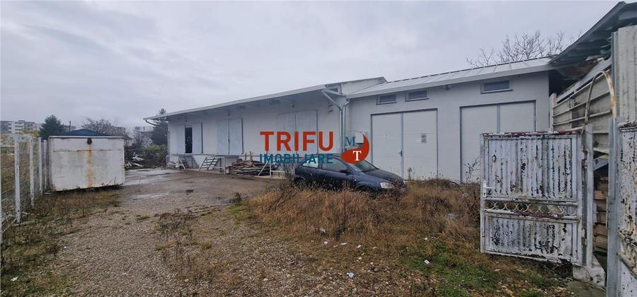 Oportunitate de Achiziție: Spațiu Industrial în Alba Iulia