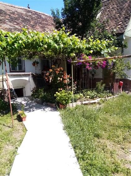 Apartament 2 camere la casa pivnita teren Zona Cibin