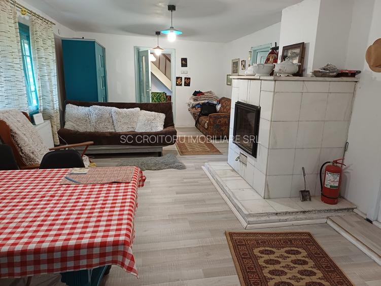 Vrancea - Nistoresti ! Vanzare ! Vila cu personalitate si potential turistic ! - 5