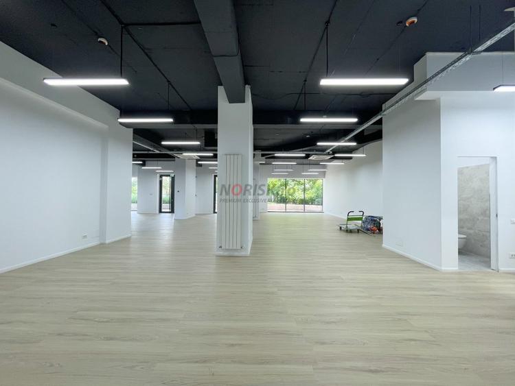 Spatiu Comercial Parter CORTINA Academy 273mp 2021