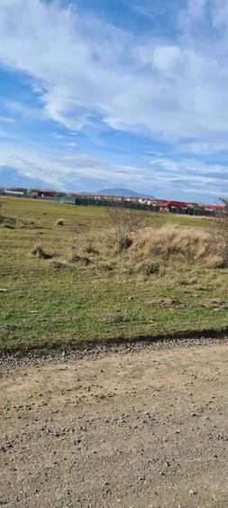 Teren 400 mp Sanpetru Intravilan
