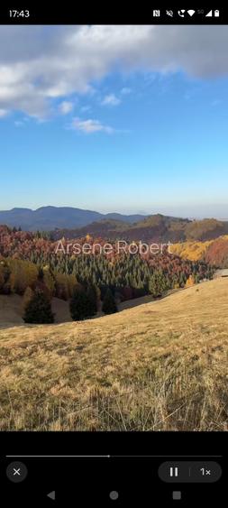 Teren la munte pentru cabanuta intre Breaza si Sinaia - 4