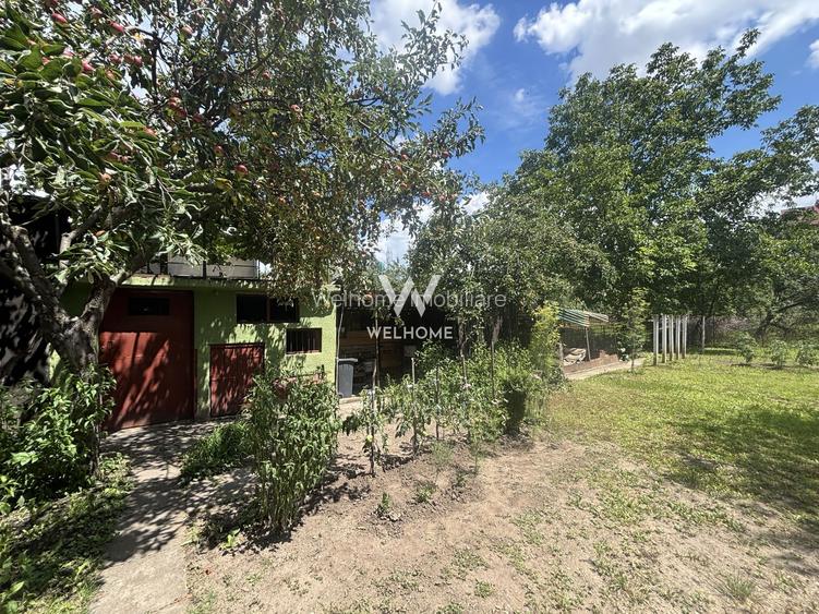 Casă individuală de vânzare în Turnișor | Curte superbă 585 mp - 33