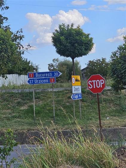 Teren intravilan Sinesti - Balta 1