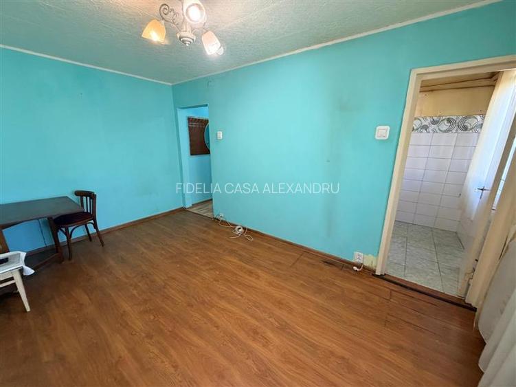 Apartament cu 3 camere Alexandru cel Bun  Piata Voievozilor - 8