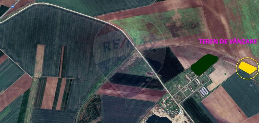 Teren agricol 14,200mp zona fermei din Zimandu Nou