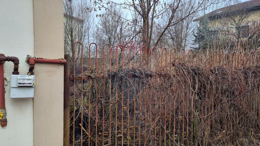 Vanzare Teren 625mp Mogosoaia / Strada Livezilor