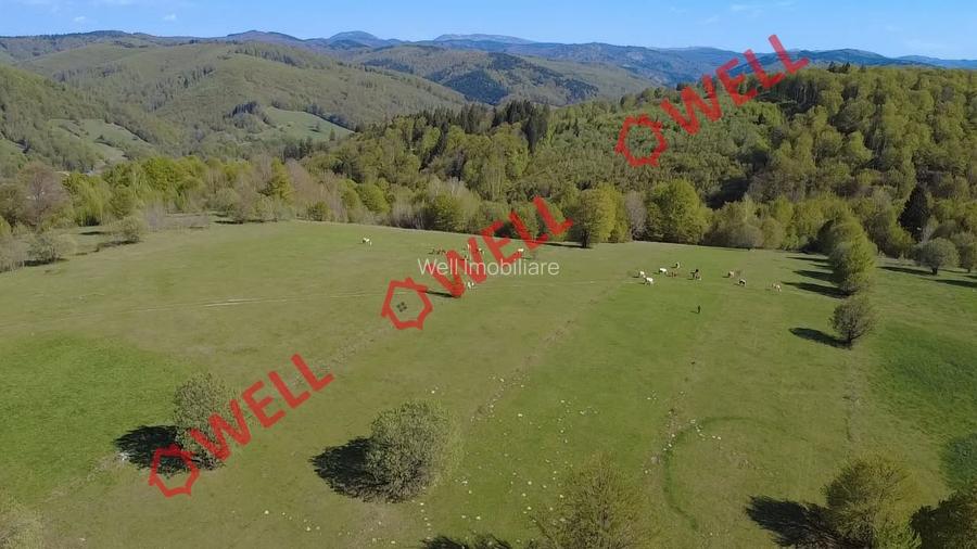 De vânzare 2 terenuri extravilane în localitatea Vama Buzăului!
