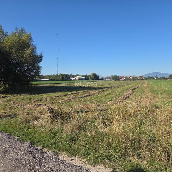 Teren Bod Colonie,strada Lalelelor - 3
