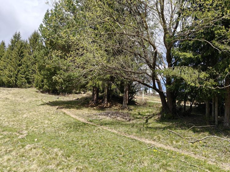 Teren intravilan, 1500 mp, Dealu Botii, com Belis, Comision 0