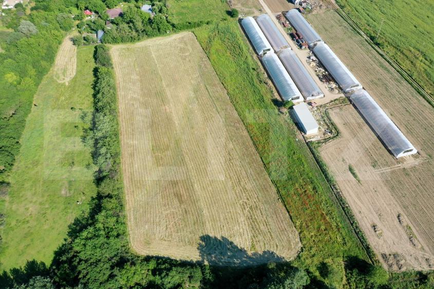 Teren EV și IV cu casă, 29.600 mp, utilități și acces facil, Albești