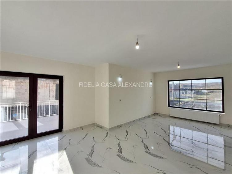 Case / vile de vanzare Iasi Letcani, Letcani - 14
