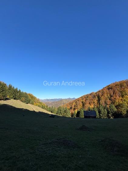 Vând Poiană în mijlocul pădurii, Transapuseana - 10