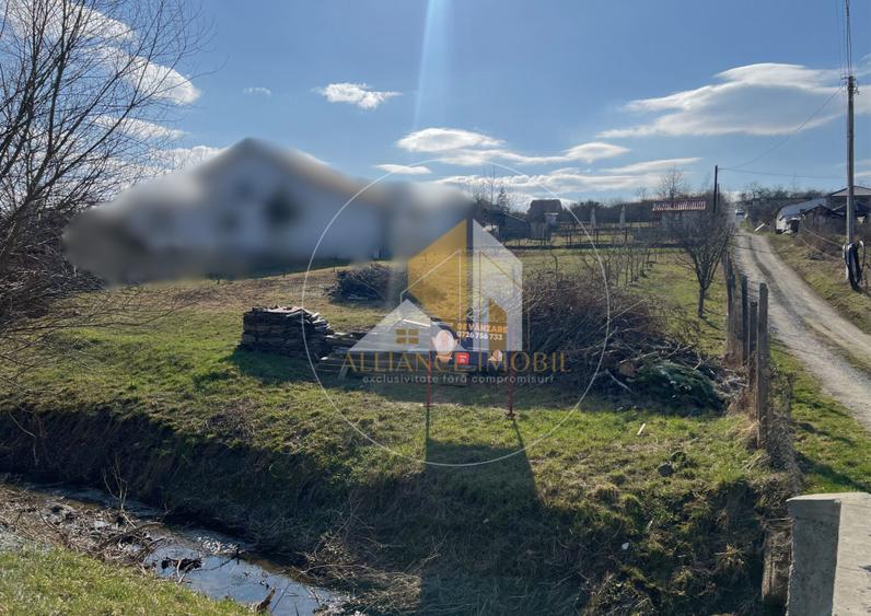Teren intarvilan de vanzare - Valea Rusului.