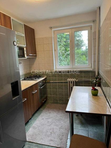 Închiriere Apartament cu 2 camere, etaj 2, ParkLake, bloc anvelopat, Dristor - 6